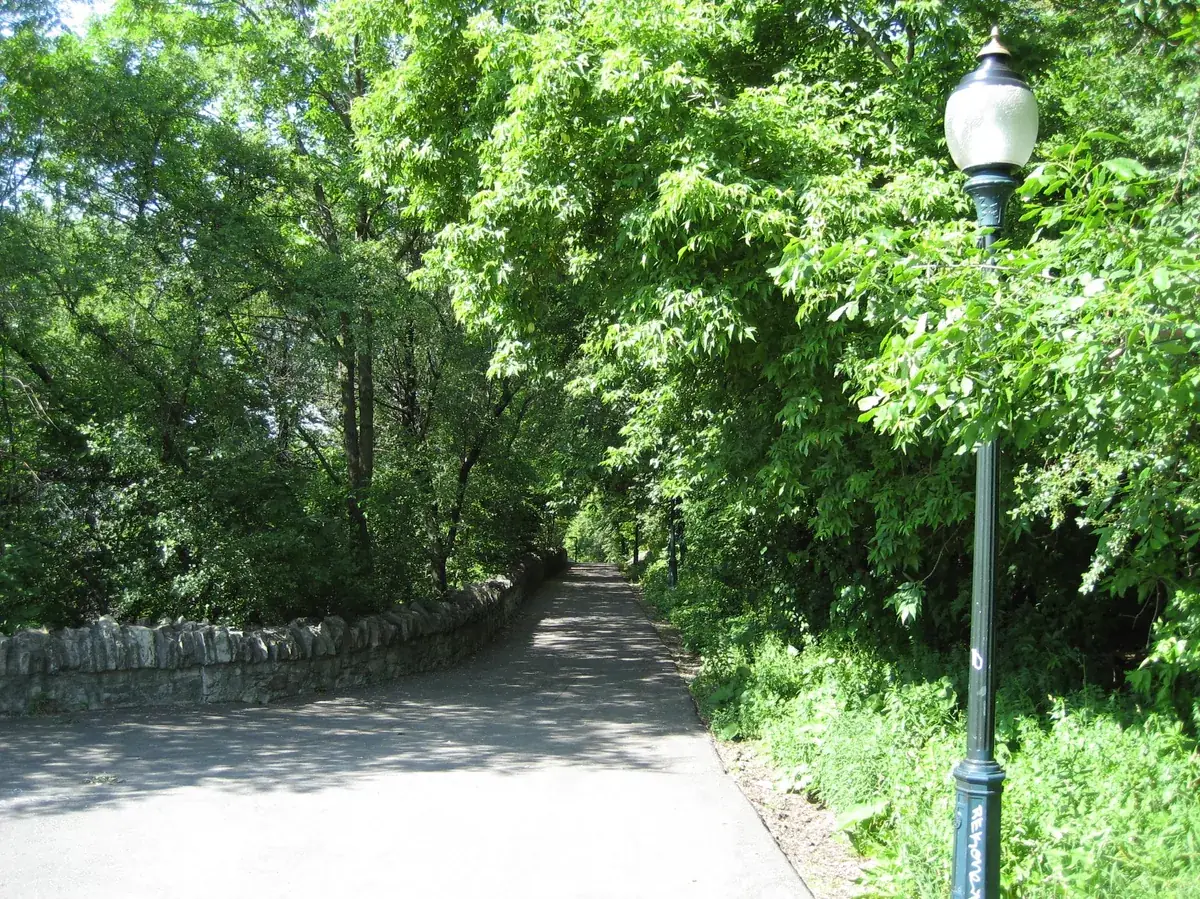 Hamilton Mountain — Hamilton district served by Dataforge IT support